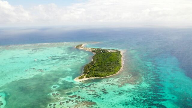 Vignette du programme télé Le Belize : Un paradis à préserver