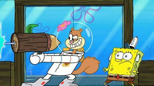 Vignette du programme télé Bob l'éponge (Mon petit pâté) S13 (22/26)
