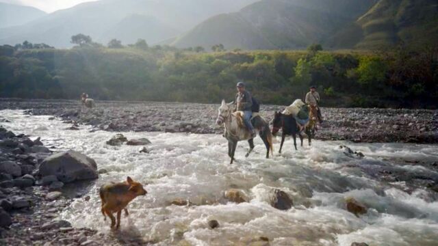 Vignette du programme télé Argentine, le médecin des montagnes