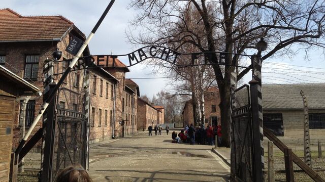 Vignette du programme télé Rembob'INA