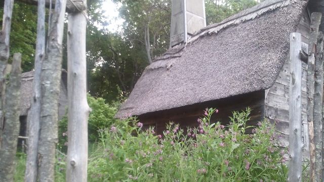 Vignette du programme télé Les sorcières de Salem : la véritable histoire