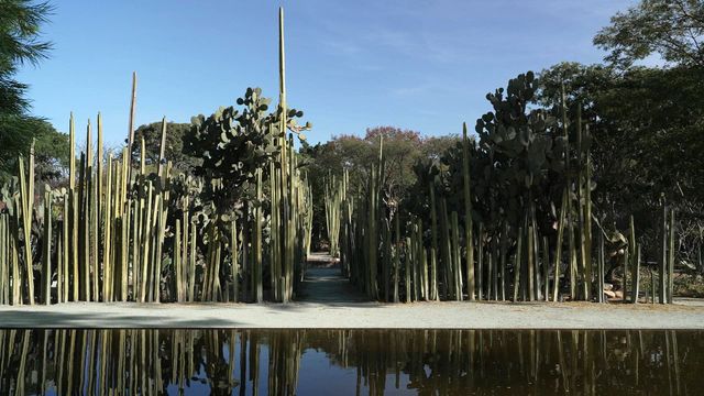 Vignette du programme télé Invitation au voyage