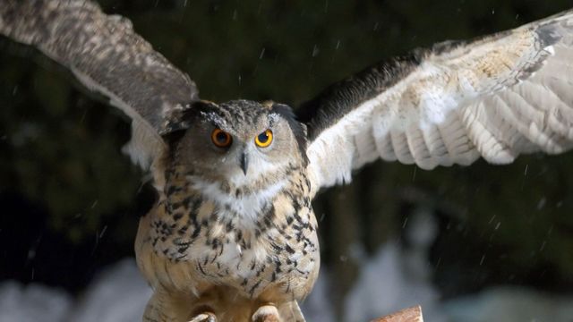 Vignette du programme télé Invitation au voyage