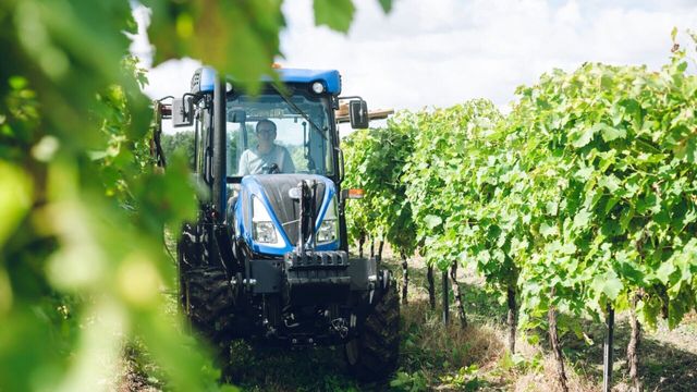 Vignette du programme télé L'amour est dans le pré - Saison 20