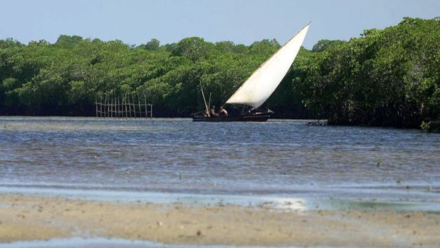 Vignette du programme télé Invitation au voyage