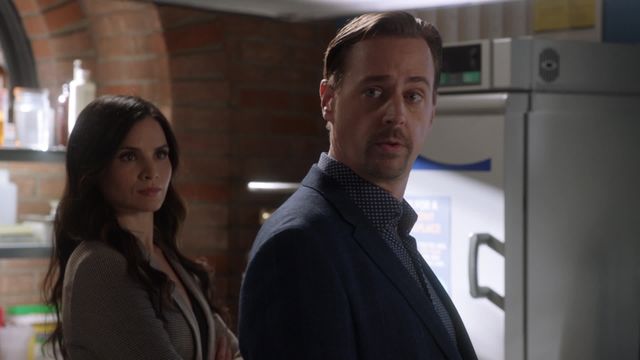 Vignette du programme télé NCIS - Saison 19