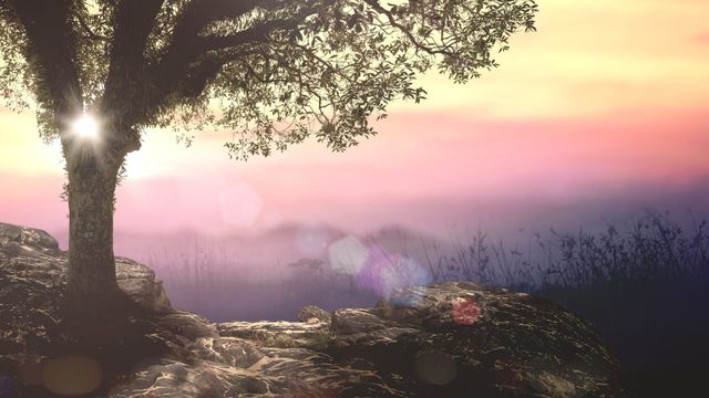 Vignette du programme télé Le jardin d'Eden : mythe ou réalité ?