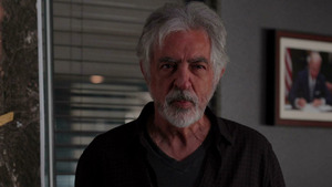 Vignette du programme télé Esprits criminels (Les amants) S16 (2/10)