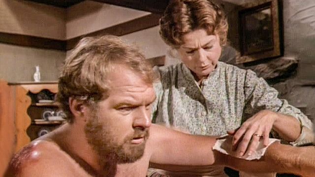 Vignette du programme télé La petite maison dans la prairie - Saison 4