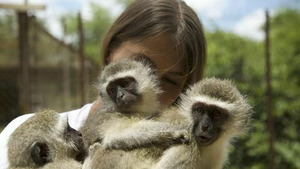 Vignette du programme télé SOS animaux orphelins (Une nouvelle famille) S1 (10/13)