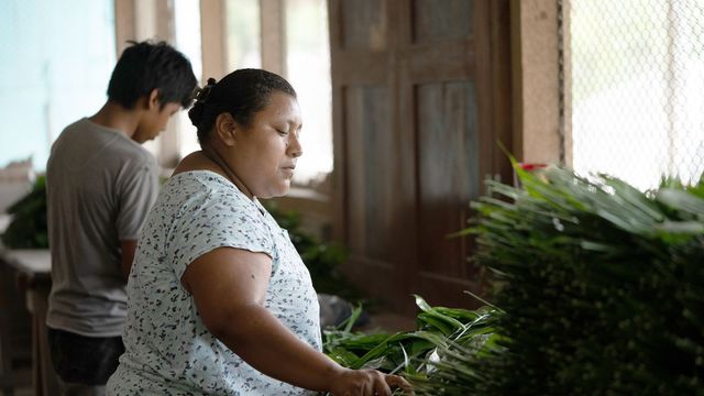 Vignette du programme télé Une planète en partage
