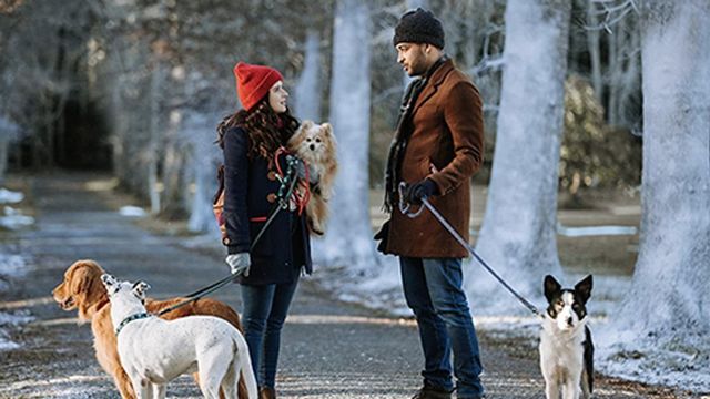 Vignette du programme télé Avec toi pour Noël