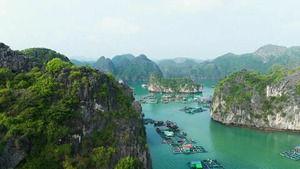 Vignette du programme télé Cuisine vietnamienne : tous les phôs sont au vert