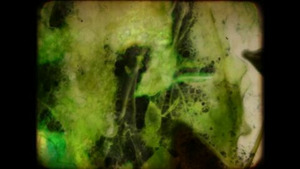 Vignette du programme télé Salin