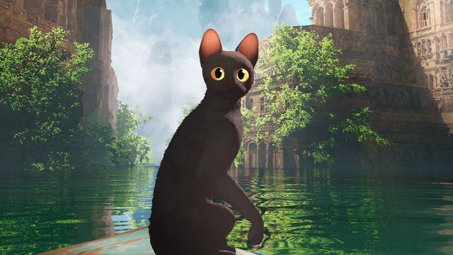 Vignette du programme télé Flow, le chat qui n'avait plus peur de l'eau