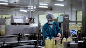 Vignette du programme télé Huiles végétales : un marché bouillant