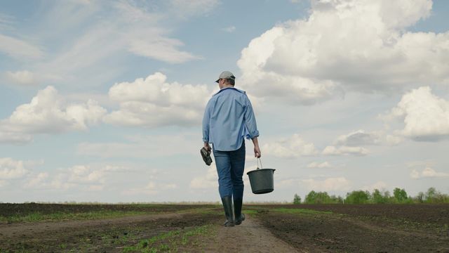 Vignette du programme télé VIP - Very Important Paysan