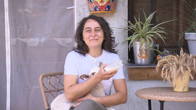 Vignette du programme télé La meilleure boulangerie de France