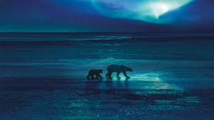 Vignette du programme télé Terres de glace (Les continents blancs) S2 (1/6)