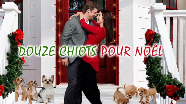 Vignette du programme télé Douze chiots pour Noël