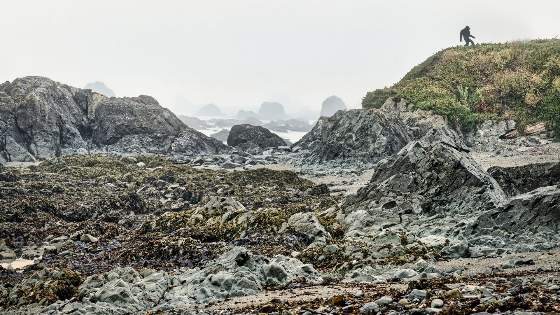 Vignette du programme télé Bigfoot : mythe ou réalité ?