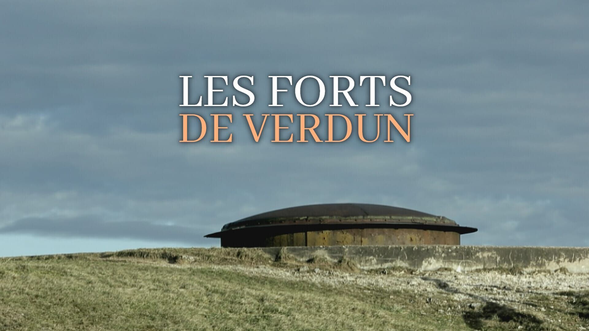 Vignette du programme télé Les forts de Verdun