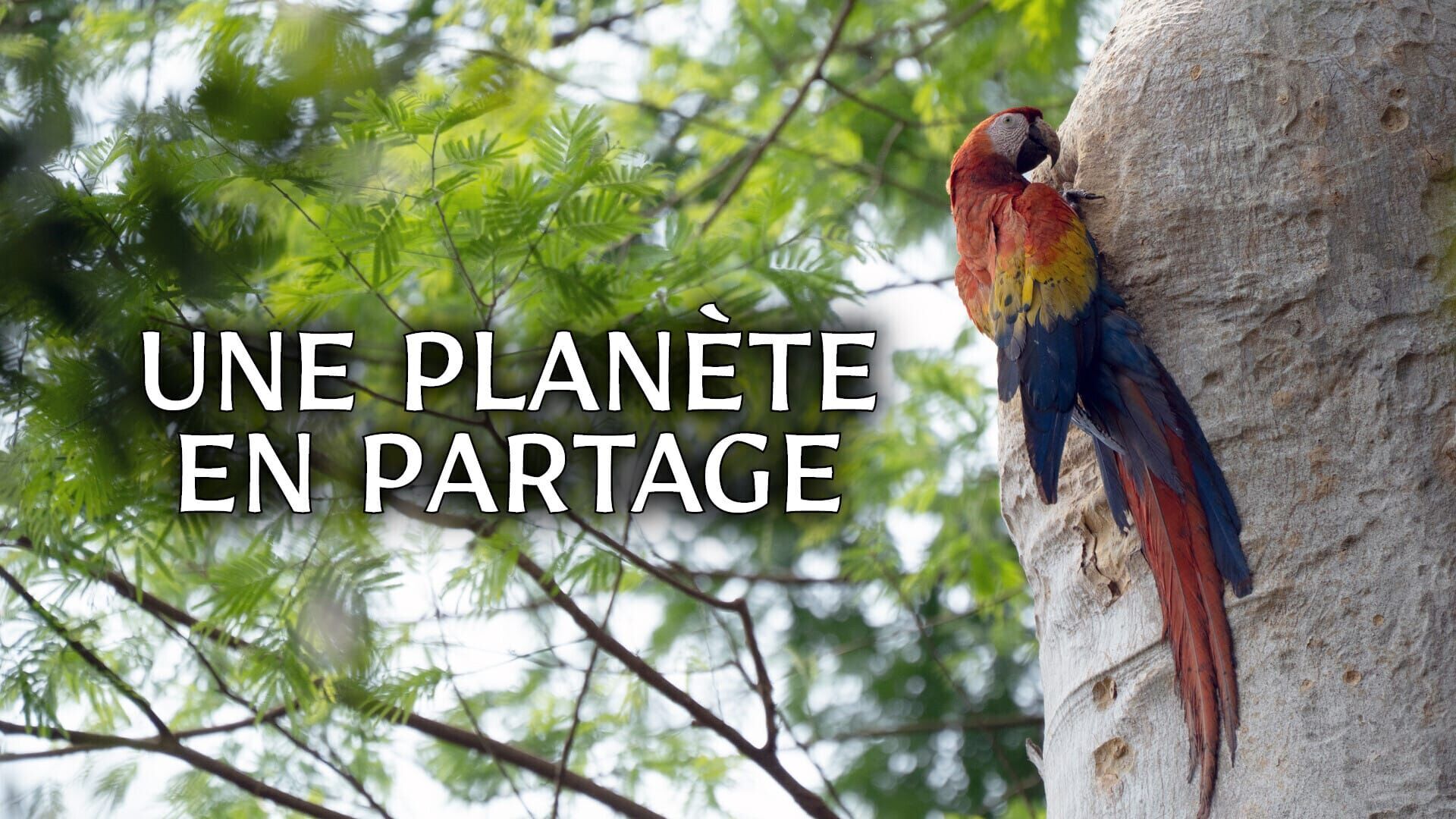 Vignette du programme télé Une planète en partage