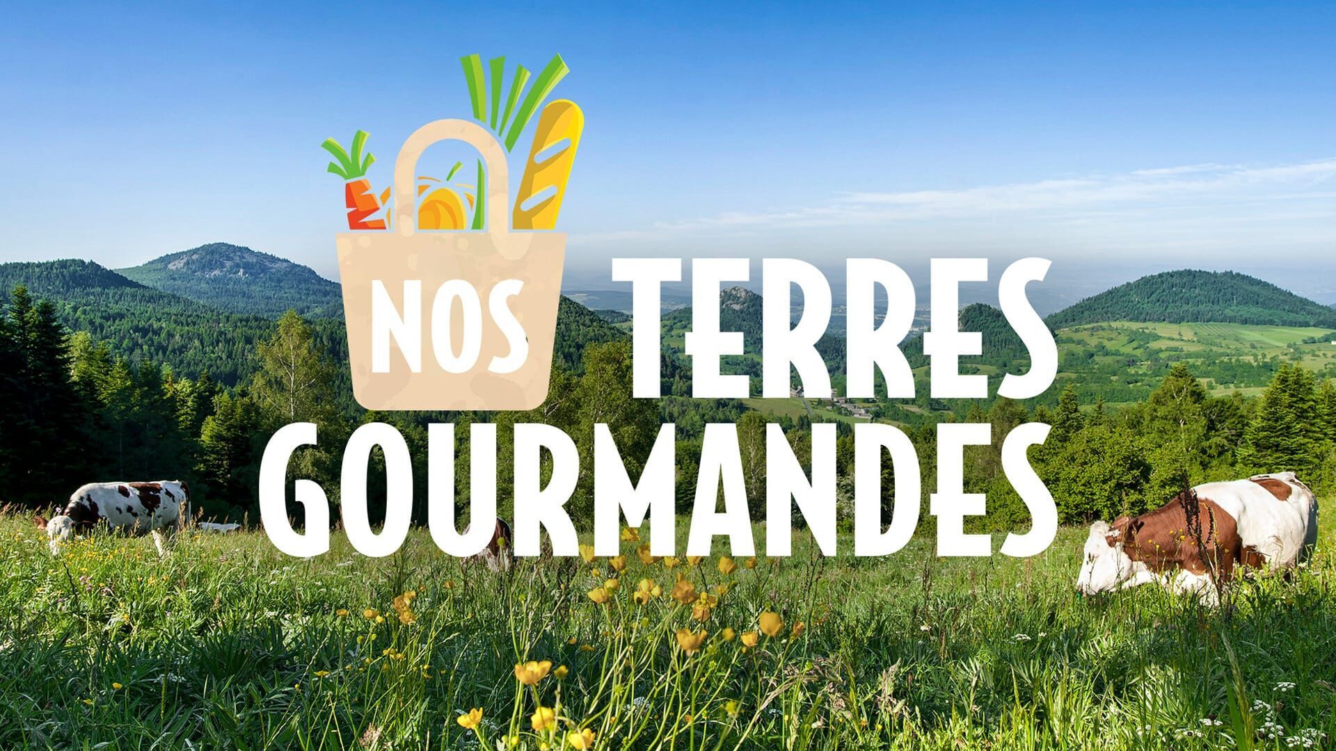 Vignette du programme télé Nos terres gourmandes