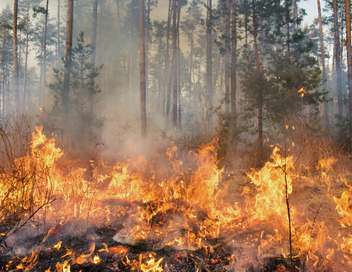 Vignette du programme télé Catastrophes naturelles : piégés au coeur du chaos