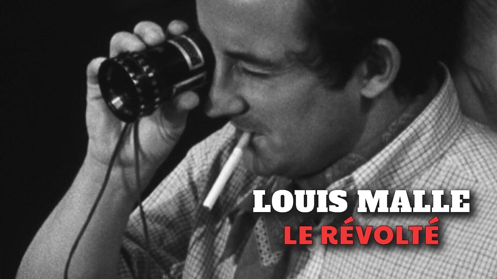 Vignette du programme télé Louis Malle, le révolté