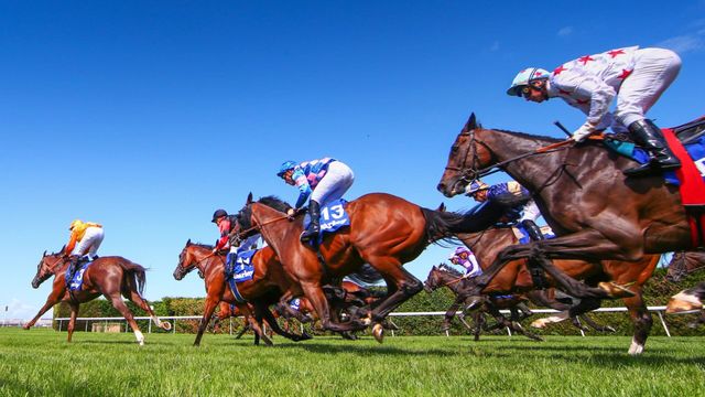 Vignette du programme télé Direct Quinté