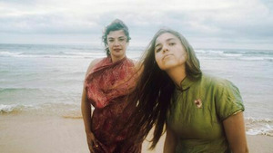 Vignette du programme télé Birds on a Wire - Le Chant des oiseaux