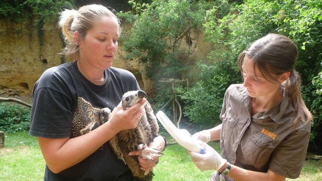 Vignette du programme télé Zoo : le défi de demain - Saison 2