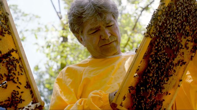 Vignette du programme télé Les maîtres des abeilles - Saison 1