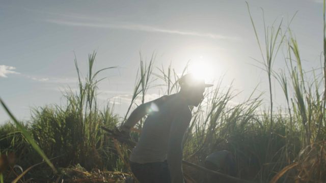 Vignette du programme télé Trop chaud pour travailler