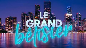 Vignette du programme télé Le grand bêtisier