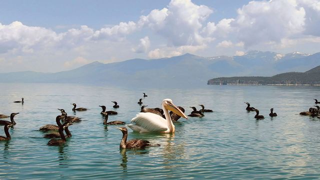 Vignette du programme télé La beauté sauvage des Balkans - Saison 2