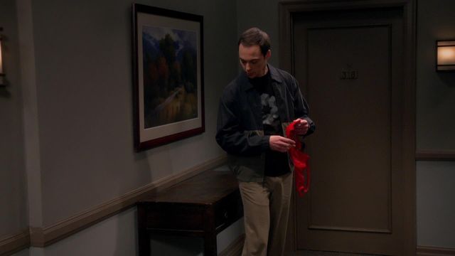 Vignette du programme télé Big Bang Theory - Saison 9
