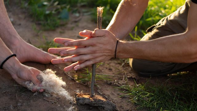 Vignette du programme télé Retour à l'instinct primaire - Saison 9