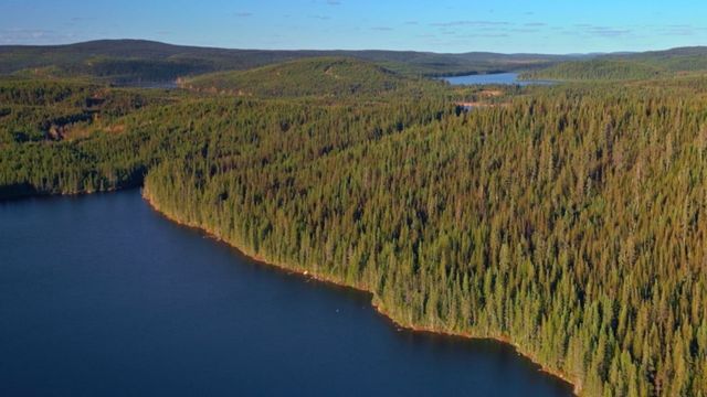 Vignette du programme télé Canada, la force de la nature