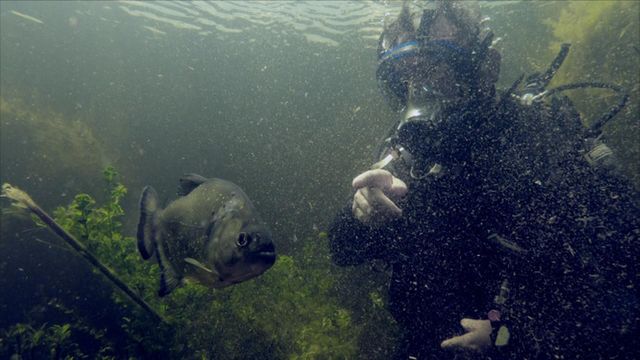 Vignette du programme télé Pêche XXL - Saison 3