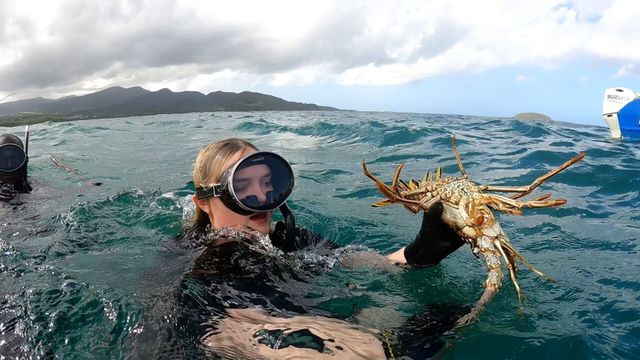 Vignette du programme télé Alexia cuisine la France