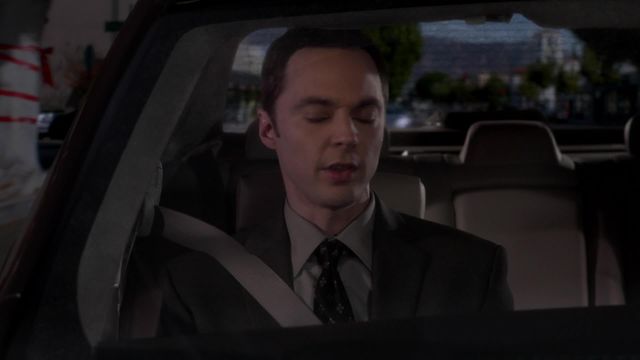 Vignette du programme télé Big Bang Theory - Saison 8