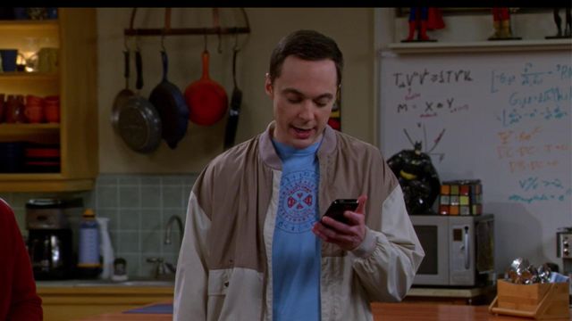 Vignette du programme télé Big Bang Theory - Saison 8