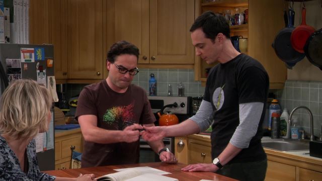 Vignette du programme télé Big Bang Theory - Saison 9