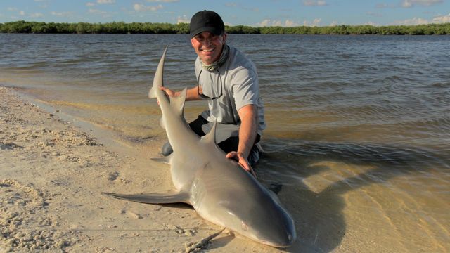 Vignette du programme télé Pêche XXL - Saison 1