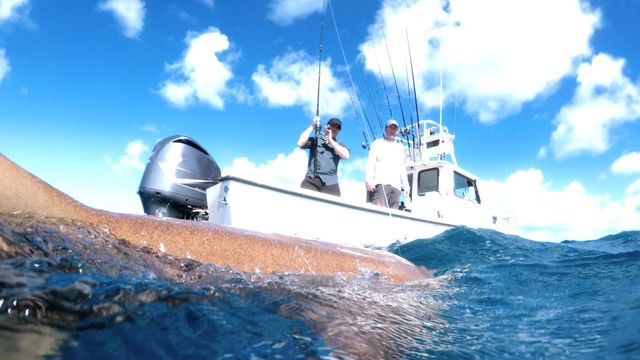 Vignette du programme télé Pêche XXL - Saison 4