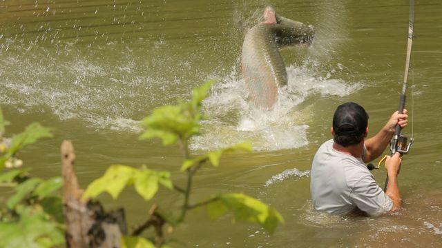 Vignette du programme télé Pêche XXL - Saison 1