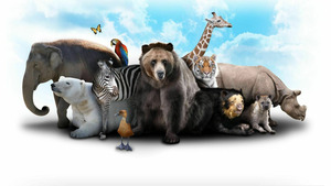 Vignette du programme télé Animalement vôtre