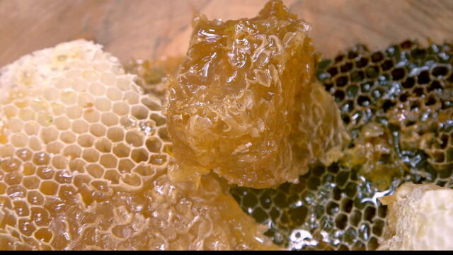 Vignette du programme télé Les maîtres des abeilles